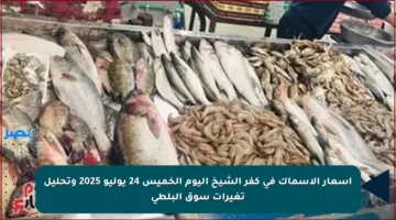 أسعار الأسماك في كفر الشيخ اليوم الخميس 24 يوليو 2025 وتحليل تغيرات سوق البلطي